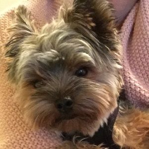 Meet your Posher, Michele